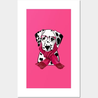 Dalmatian with scarf Posters and Art